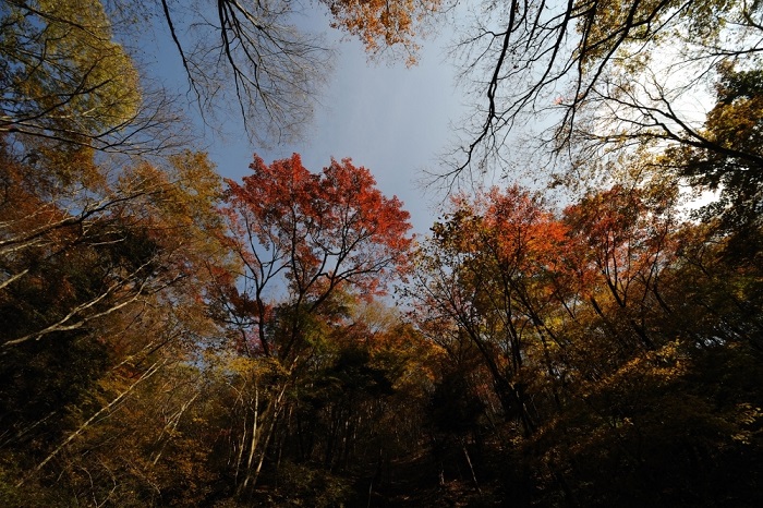 御岳山