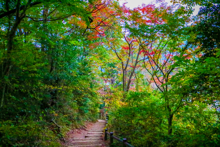 高尾山