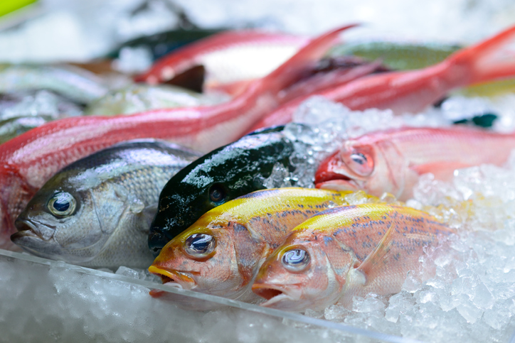 魚介セット