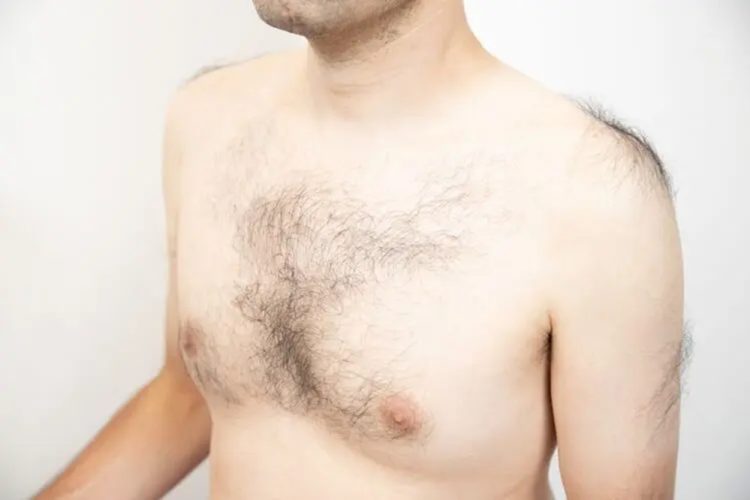 「乳毛」と「胸毛」の違い