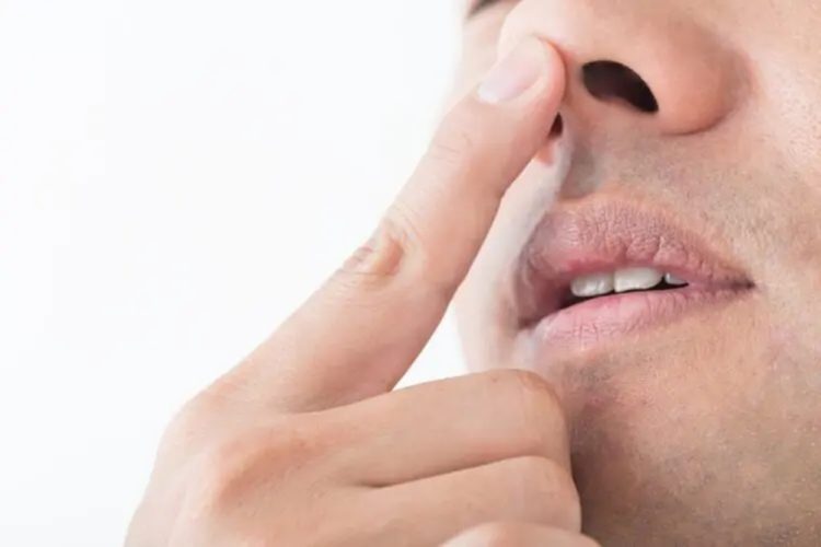 鼻毛の「本数」や「太さ」が違う理由