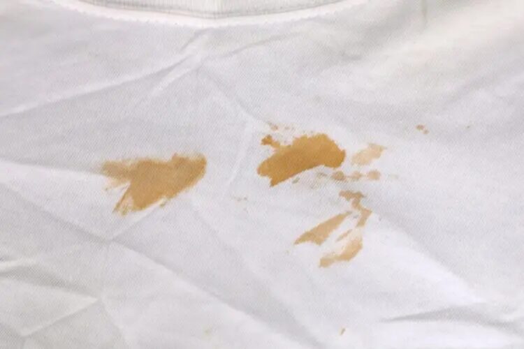 水性のシミがついたときの応急処置