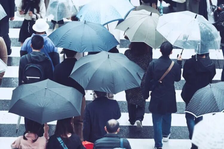 雨の日のニオイ